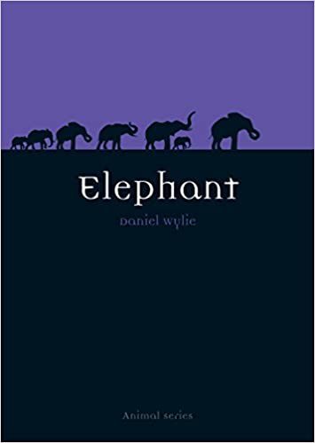 Elephant , by Dan Wylie