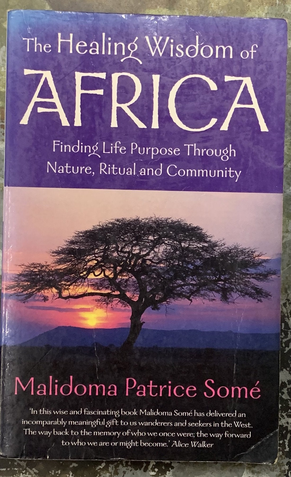 The Healing Wisdom of Africa, by Malidoma Patrice Some
