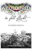 A Coloured in Full Flight, by Georgie Calverley