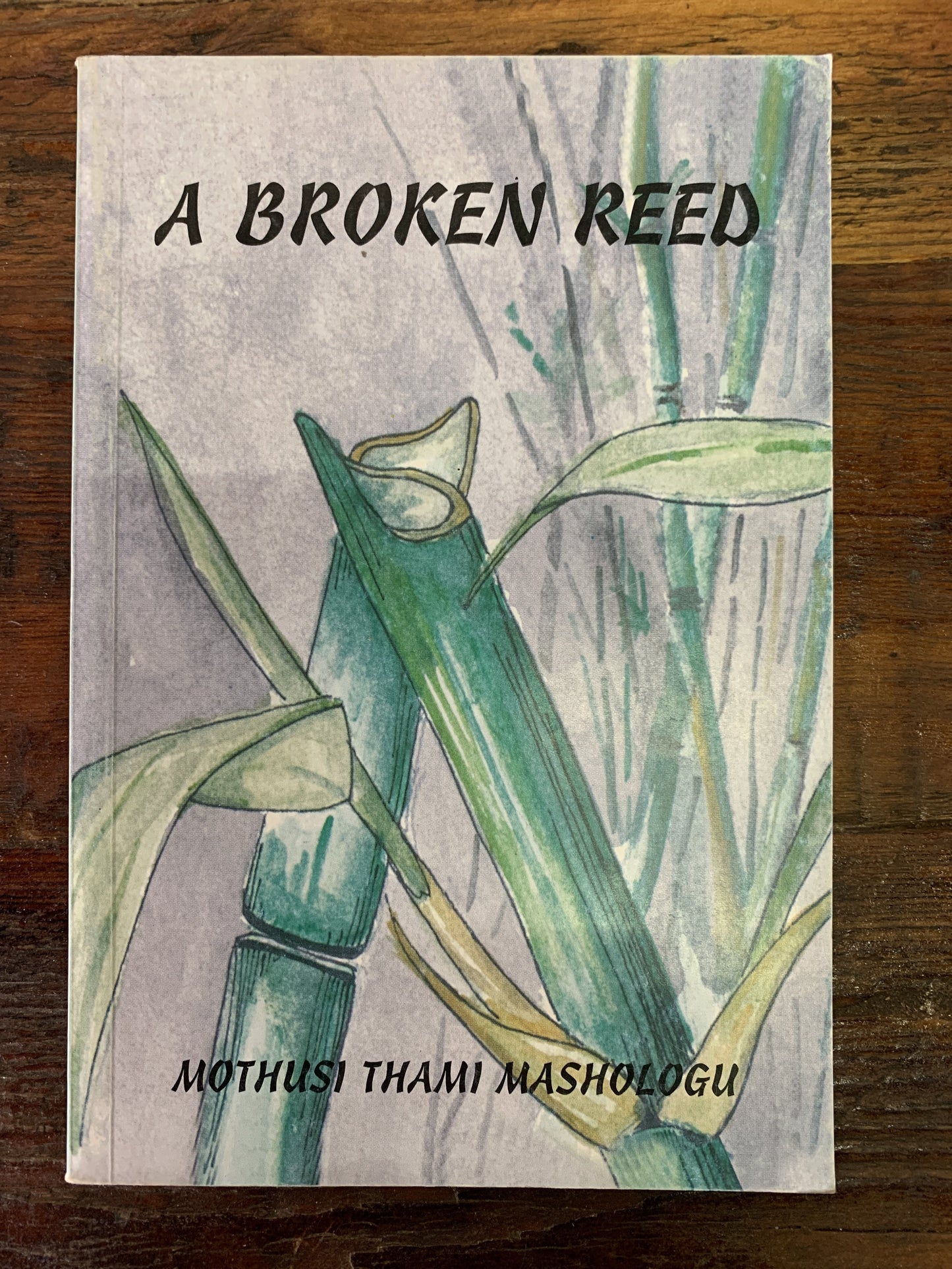 A Broken Reed, by Mothusi Thami Mashologu