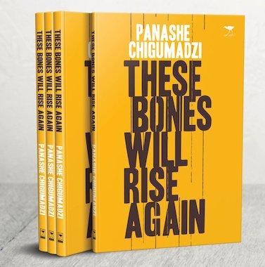 These Bones Will Rise Again by  Panashe Chigumadzi