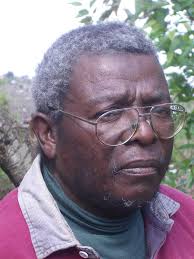 Collected poems - Mafika Pascal Gwala by Mandla Langa, Ari Sitas