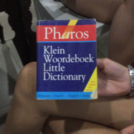 Klein woordeboek (used)
