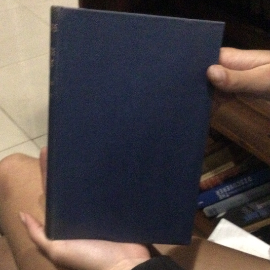 Những cuộc phiêu lưu của thợ săn kho báu, bởi Charles P Everitt (Đã qua sử dụng)