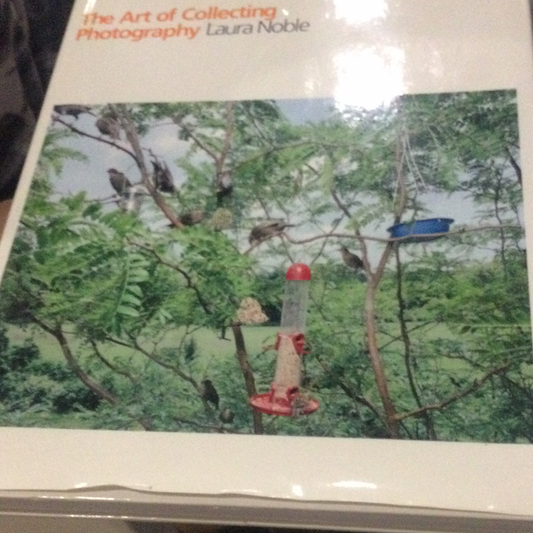 Nghệ thuật sưu tầm ảnh (cũ, bìa cứng)