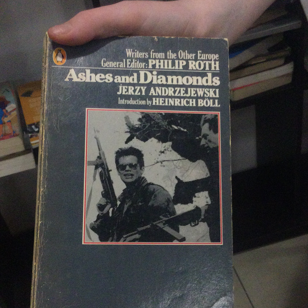 Ashes and Diamonds, by Jerzy Andrzejewski (used)