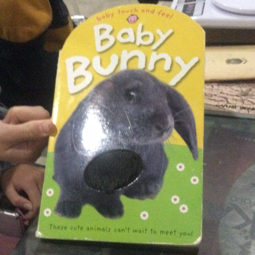 Baby bunny (board book, used)