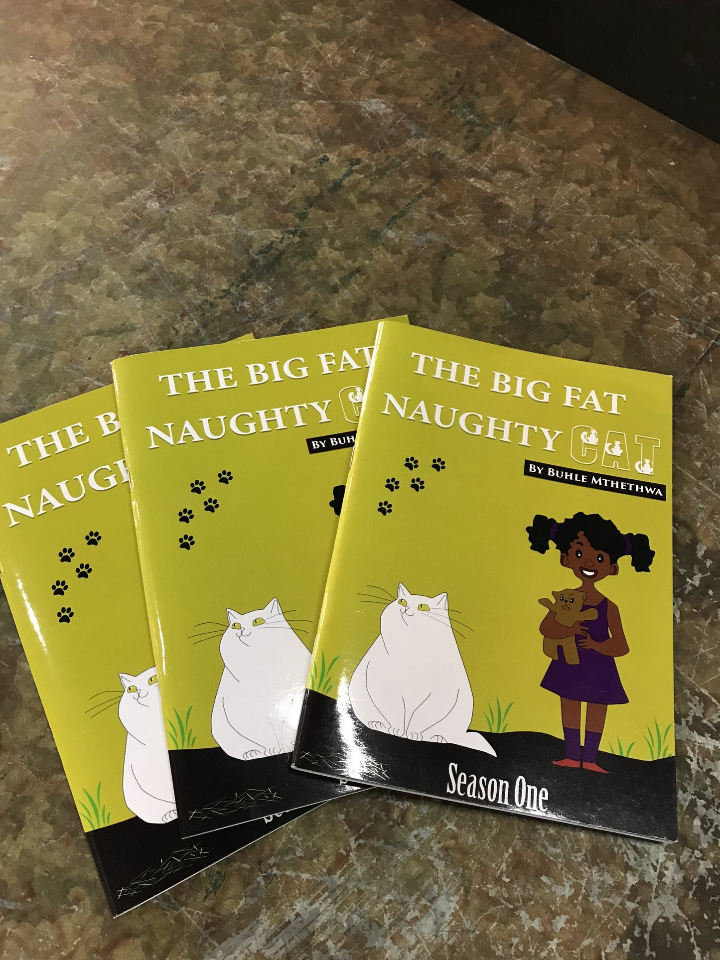 The Big Fat Naughty Cat Season One by Mthethwa Buhle